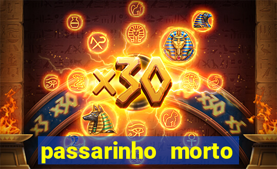 passarinho morto significado espiritual